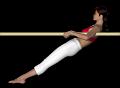 Gym_paralleles_appui_brachial 2_ROUDNEFF